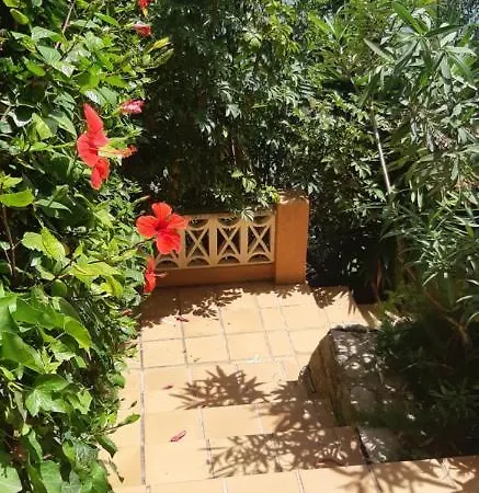 فيلة Puerto Blanco *