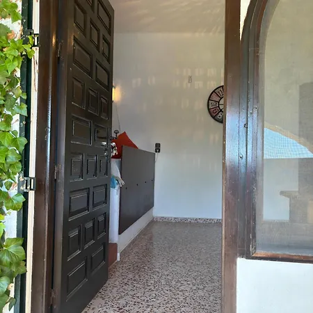 فيلة Puerto Blanco *